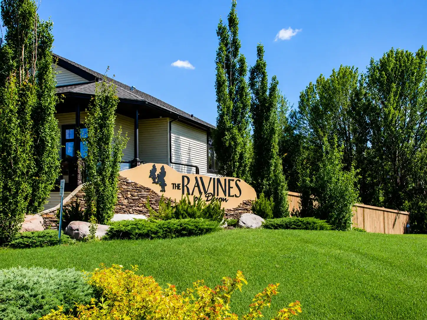 The Ravines