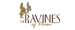 The Ravines