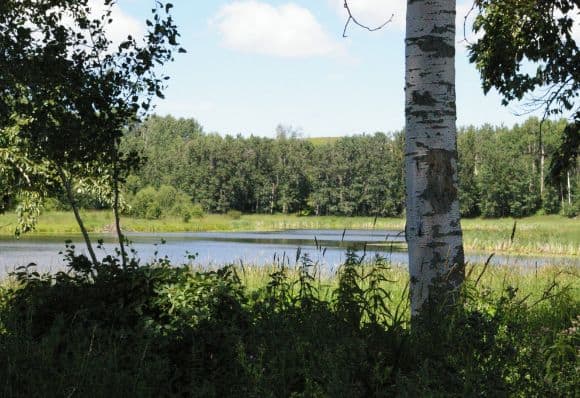 Acreages And In Fill Lots