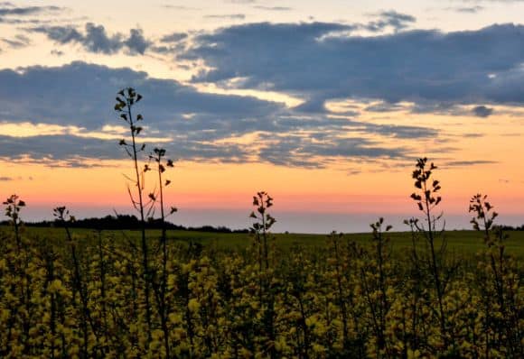 Parkland County